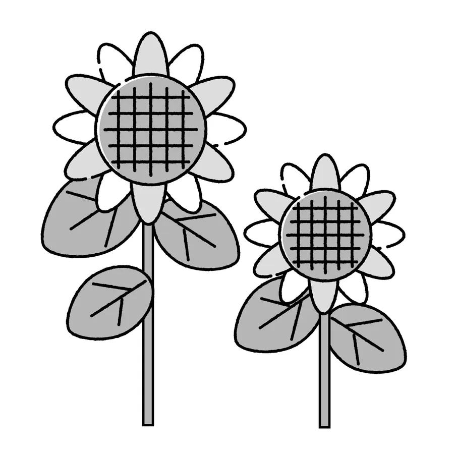 ひまわり(モノクロ)